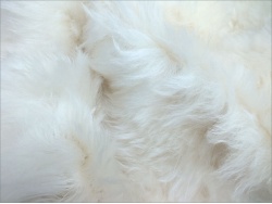 Schulte 65mm Ivory Long Mohair
