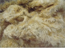 Schulte Carley Light Gold on Brown 40mm Mohair 15